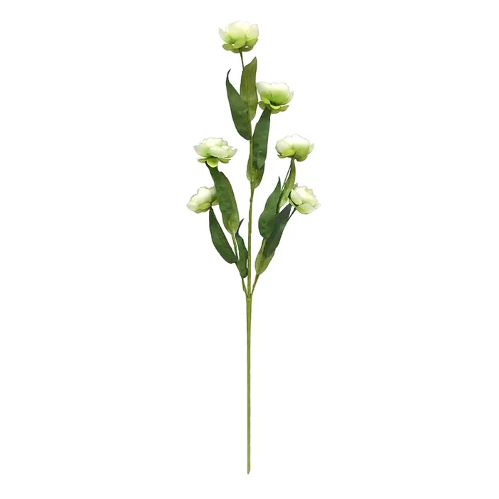 6-Bulb Green Ranunculus Floral Spray, 31″