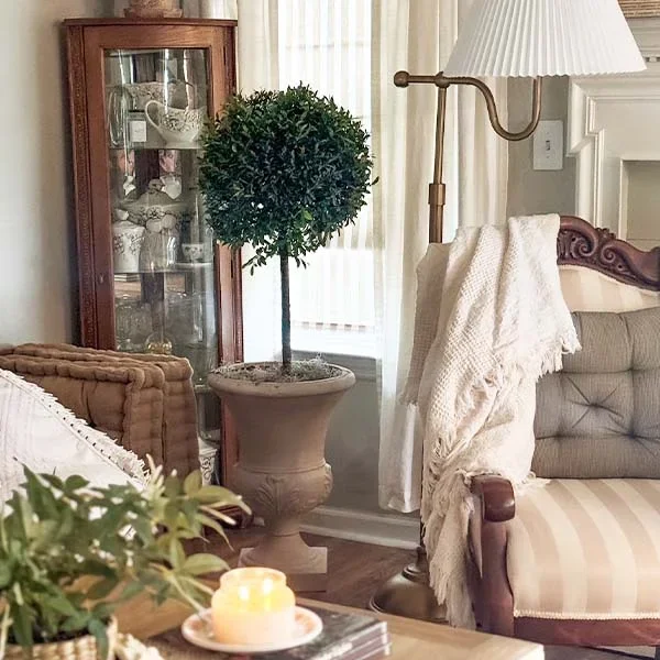 Eugenia 1 Ball Topiary – Decor Steals