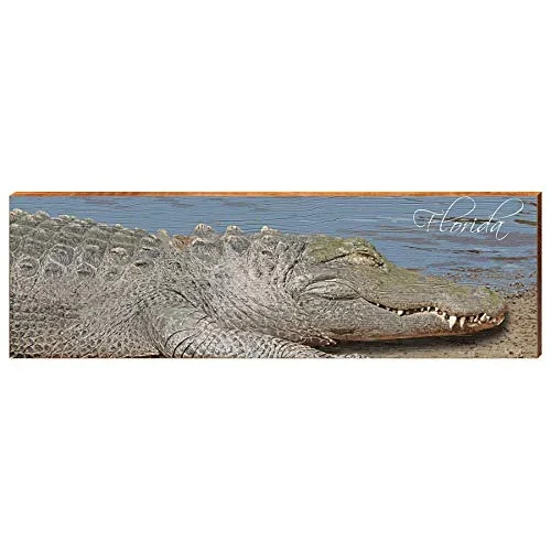 Florida Alligator Home Decor Art Print on Real Wood