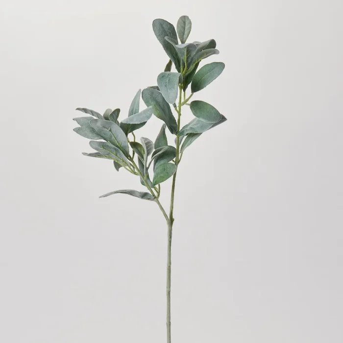 Fuzzy Green Lamb’s Ear Single Long Stem Faux All Season’s Greenery Spray – 29″