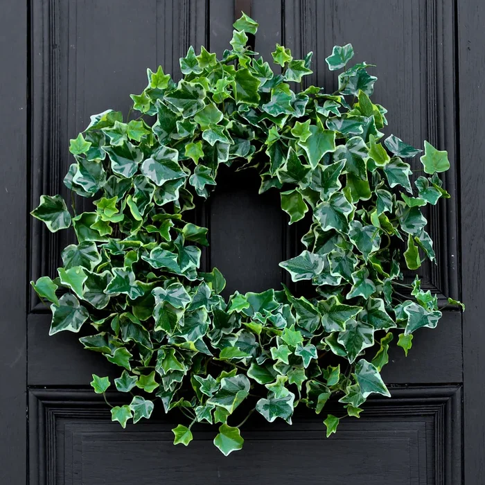Green Variegated Real Touch English Ivy Everyday All Seasons Front Door Wreath