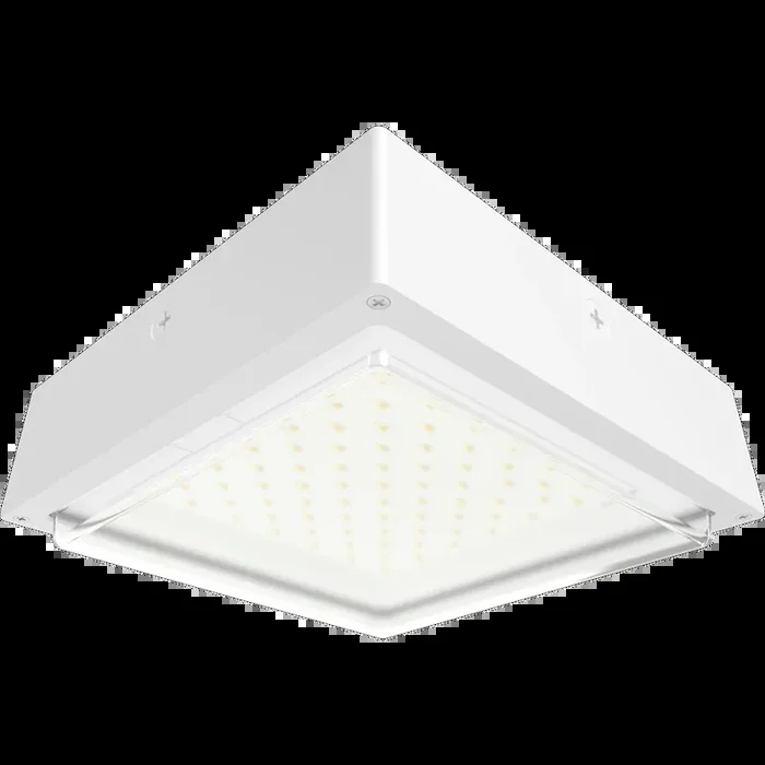 RAB VAN34 Canopy Light Wattage/CCT Selectable 60W/50W/40W 3000K/4000K/5000K 480V 0-10V Dimming Drop Clear Lens White (VAN34-60W/480)