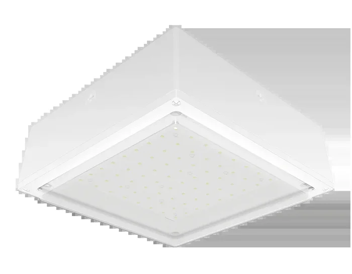 RAB VanLED 10W 3000K Drop Frosted Lens 120-277V 0-10V White (VANLED10YFRW)