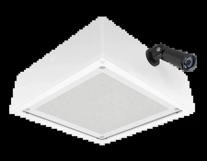 RAB VanLED 40W 3000K Flat Frosted Lens 120V Swivel Photocell White (VANLED40YFFRW/PCS)