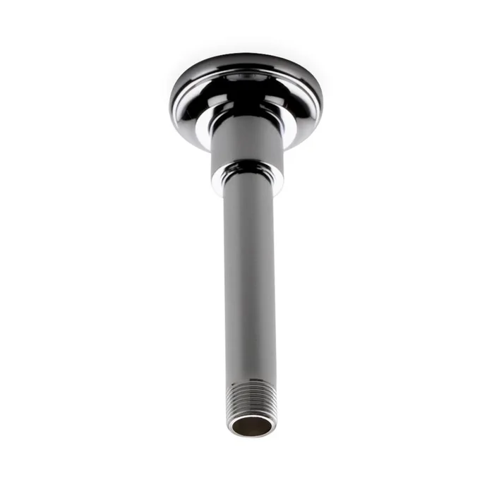 Waterworks Universal Vertical Showerhead Arm and Flange in Chrome